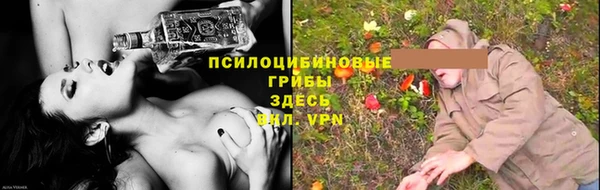 гашик Верхнеуральск