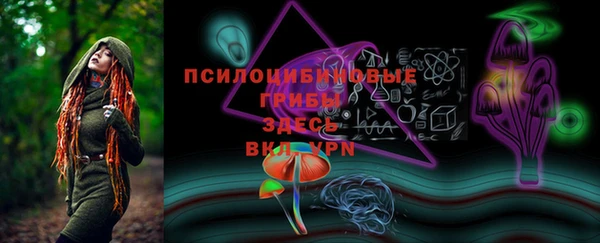 гидра Белая Холуница