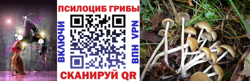 Галлюциногенные грибы ЛСД  Гремячинск 